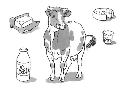 produits laitiers